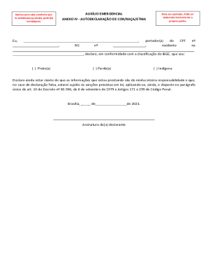 Brazil Self-Declaration of Race/Ethnicity Form