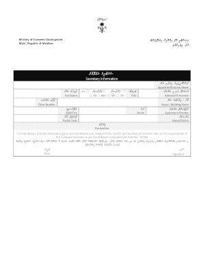 Maldives Company Secretary Information Form