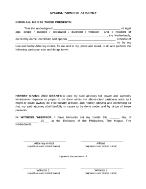 Special Power of Attorney