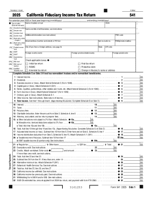 2025 California Fiduciary Income Tax Return 541