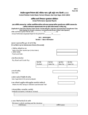 Annual Performance Appraisal Report Form VIII