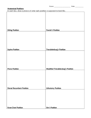 Anatomical Positions Drawing Form