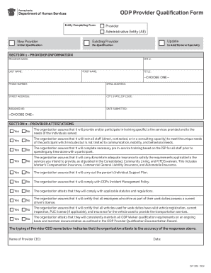 ODP Provider Qualification Form