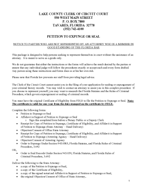 Florida Petition to Expunge or Seal Criminal Records