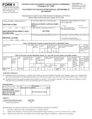 SEC Form 4 Statement of Changes in Beneficial Ownership