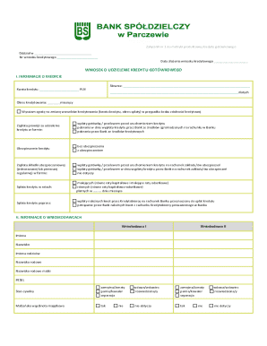 Cash Loan Credit Application Form