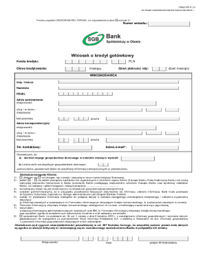 Polish Consumer Loan Application