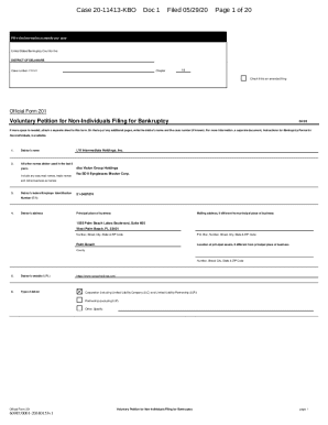 US Bankruptcy Court Voluntary Petition Form 201