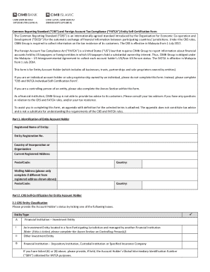 CRS and FATCA Entity Self-Certification Form