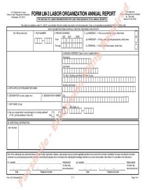 US Labor Organization Annual Report Form LM-3