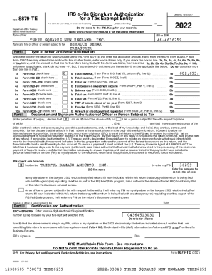 IRS Form 8879-TE for Tax Exempt Entity