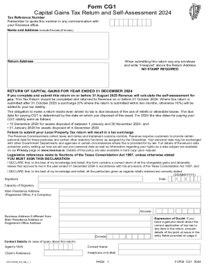 Capital Gains Tax Return Form CG1 2024
