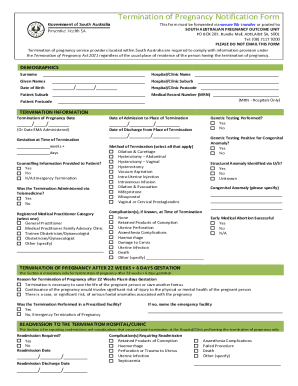 Termination of Pregnancy Notification Form