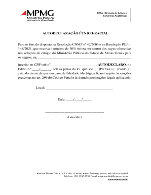 Modelo de autodeclaracao racial.pdf - MPMG