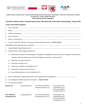 Personal Assistant Program Application for Local Governments 2025