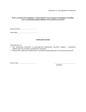 Candidate Declaration of Non-Conviction