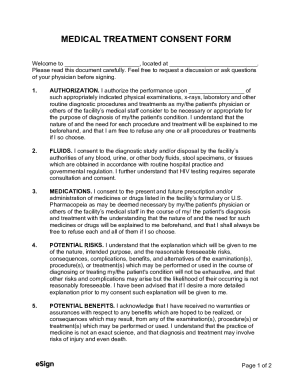 Medical Treatment Consent Form