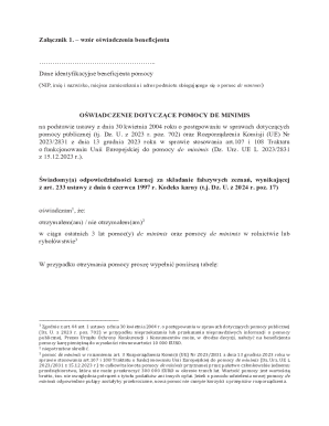 EU De Minimis Aid Declaration Form