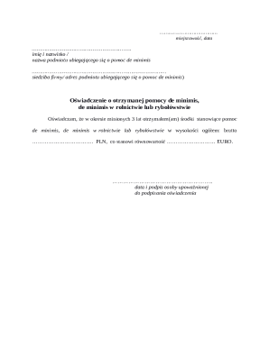 De Minimis Aid Declaration Form