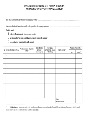 De Minimis Aid Declaration Form