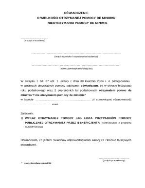 De Minimis Aid Declaration Form