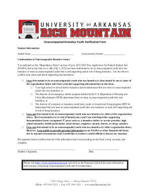 Unaccompanied Homeless Youth Verification Form