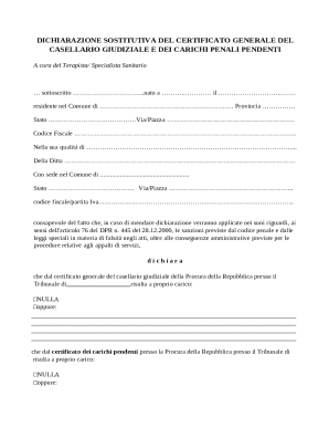 Italian Criminal Record Declaration Form