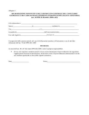 Declaration of No Criminal Record for Healthcare Professionals