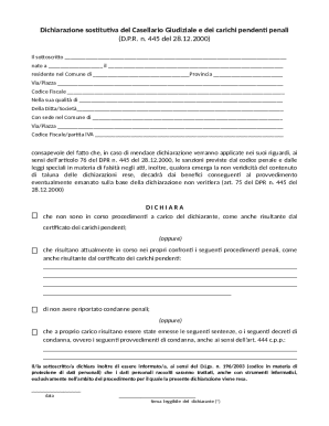 Italian Criminal Record Declaration Form