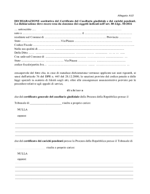 Italian Judicial Record Declaration Form