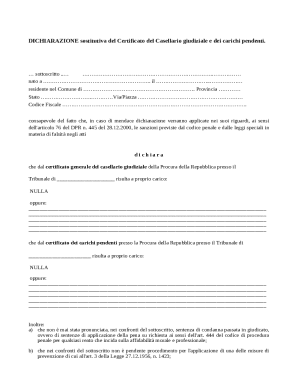 Italian Judicial Record Declaration