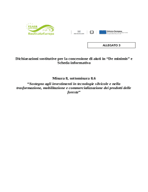 De Minimis Aid Declaration Form