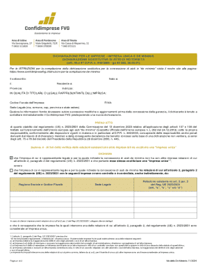 De Minimis Aid Declaration Form