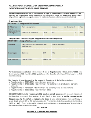 De Minimis Aid Declaration Form