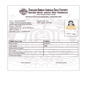 Provisional Exam Form for UG Semester - II Examination 2024