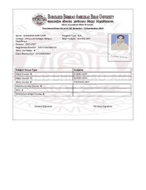Provisional Exam Form for UG Semester III Examination 2024