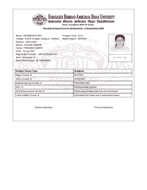 Provisional Exam Form for UG Semester II Examination 2025