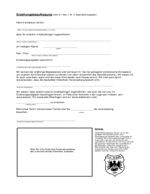 Erziehungsbeauftragung Form