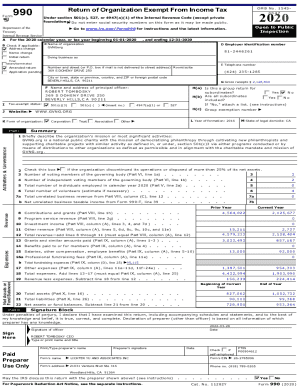 IRS Form 990 2020