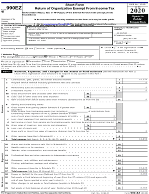 Form 990-EZ 2020
