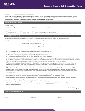 Borrower Income Self-Declaration Form