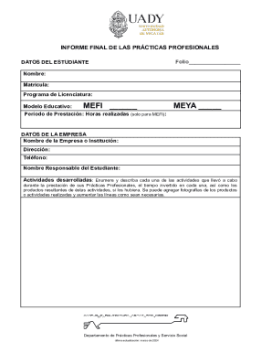 Informe Final de las Prácticas Profesionales