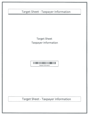 Taxpayer Information Form
