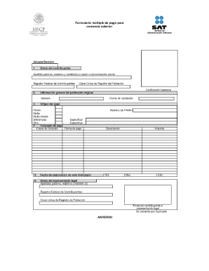 Mexico Foreign Trade Payment Form