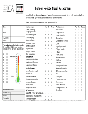 London Holistic Needs Assessment