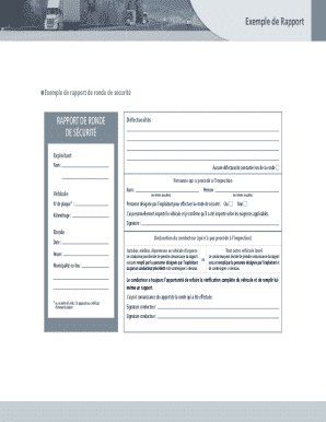 Security Patrol Report