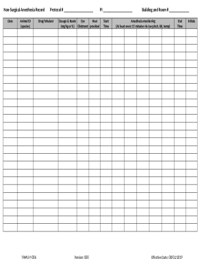 Non-Surgical Anesthesia Record Protocol