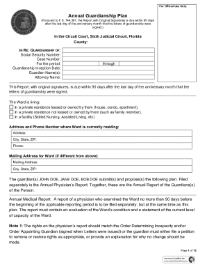 Florida Annual Guardianship Plan