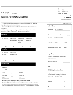 OSHA Form 300A Summary