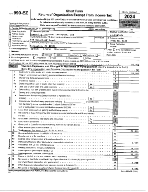 Form 990-EZ 2024
